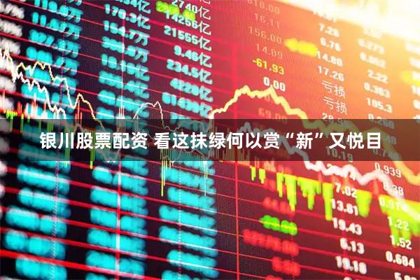 银川股票配资 看这抹绿何以赏“新”又悦目