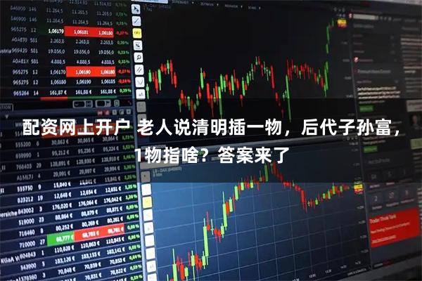 配资网上开户 老人说清明插一物，后代子孙富，1物指啥？答案来了